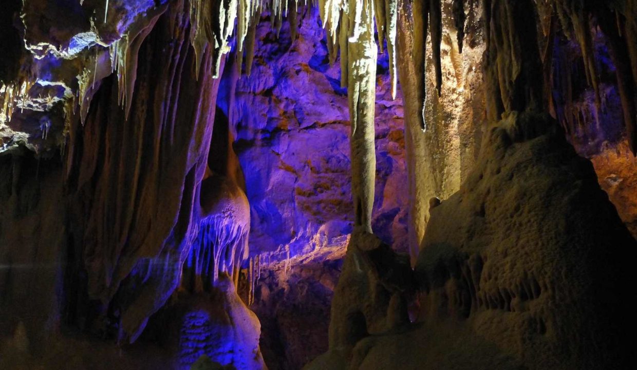 Grotte de la Baume obscure, DefisMed