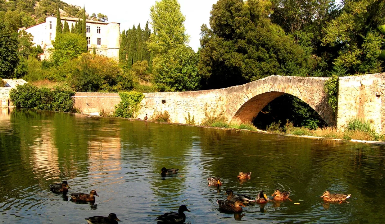 Château vins sur Camary ponts extérieur