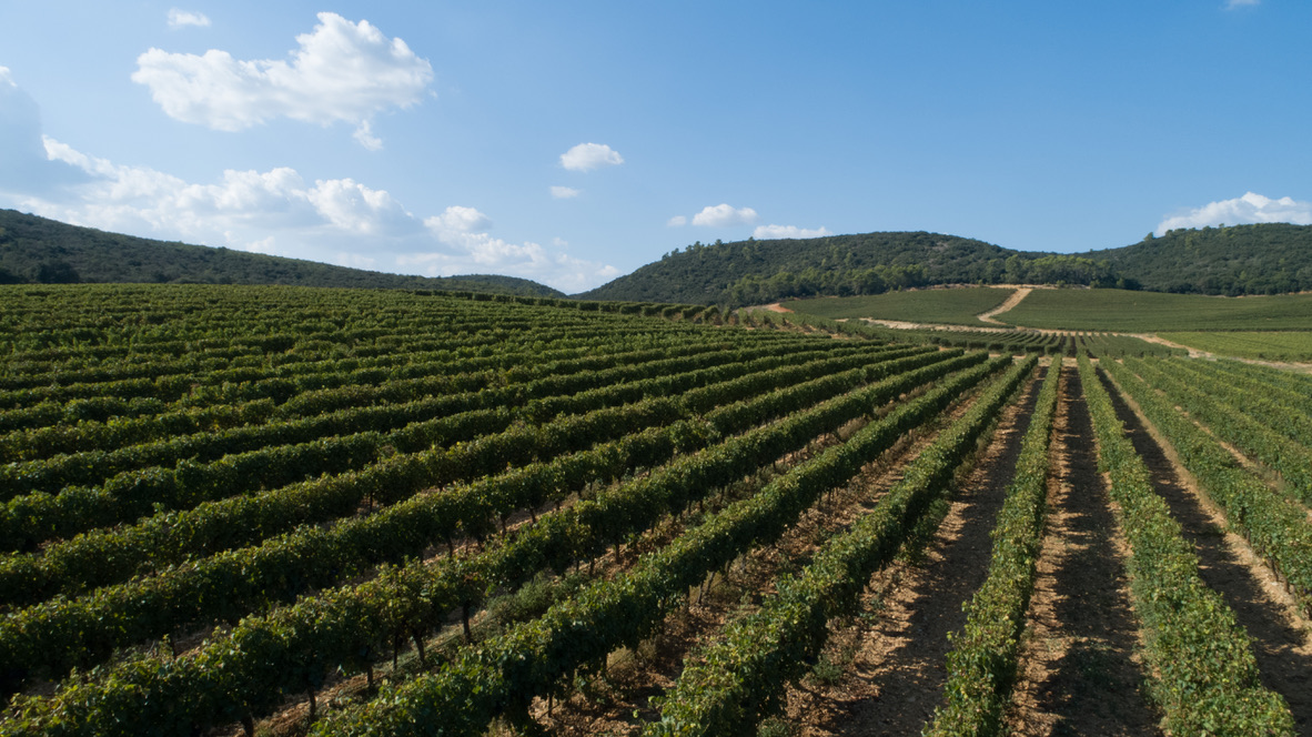 Domaine de Cantarelle