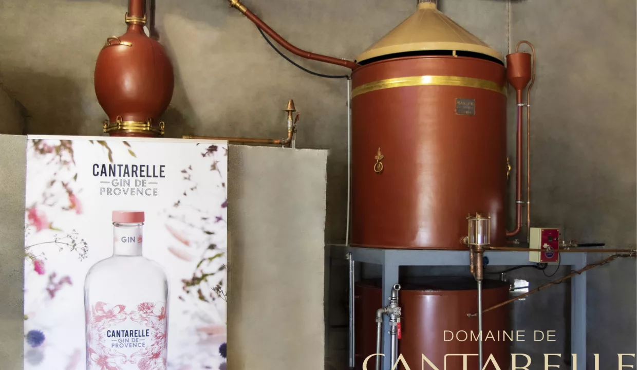 DOMAINE DE CANTARELLE5 Distillerie alambic_Cantarelle2