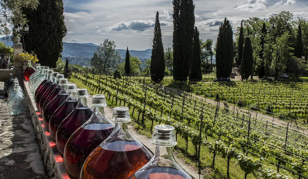 Vignoble Saint-Jeannet