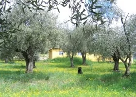 Le Domaine des Près Fleuris, Defismed