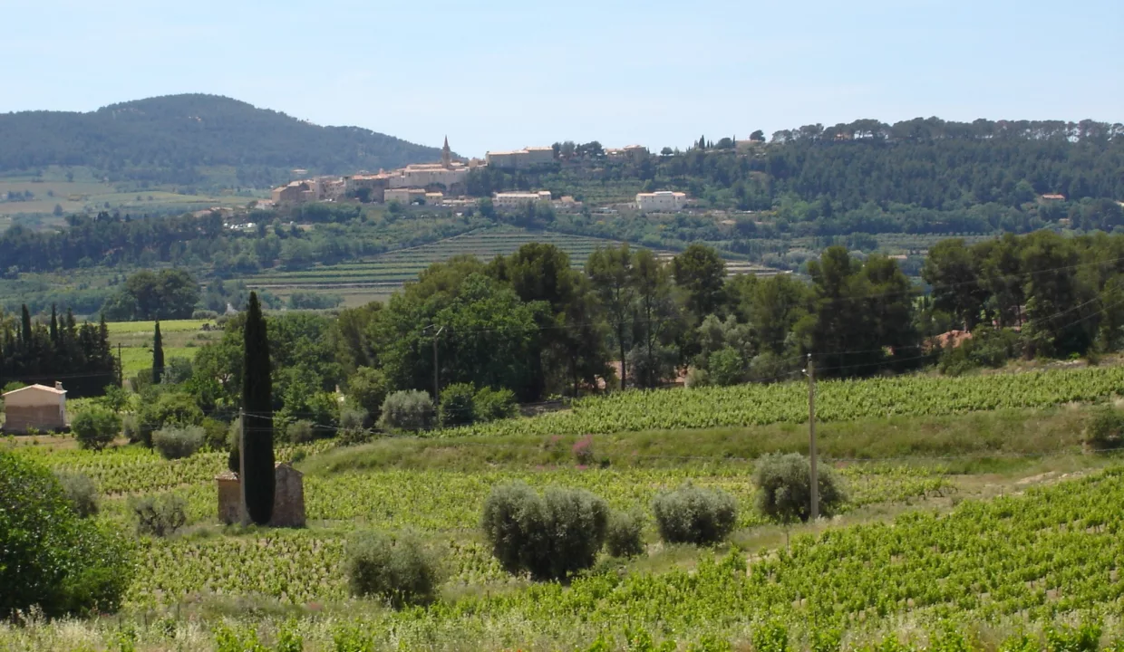 Domaine de l'Olivette - La Cadière web