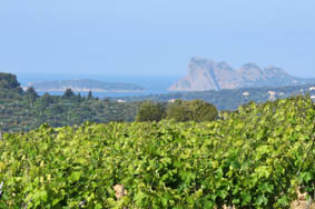Domaine de l'Olivette