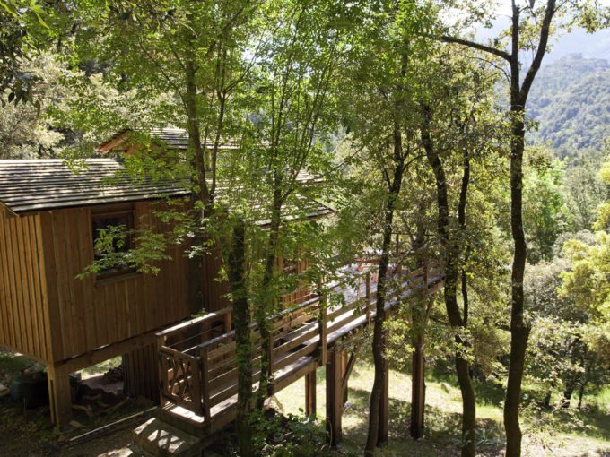 Cabane dans les arbres Chisà