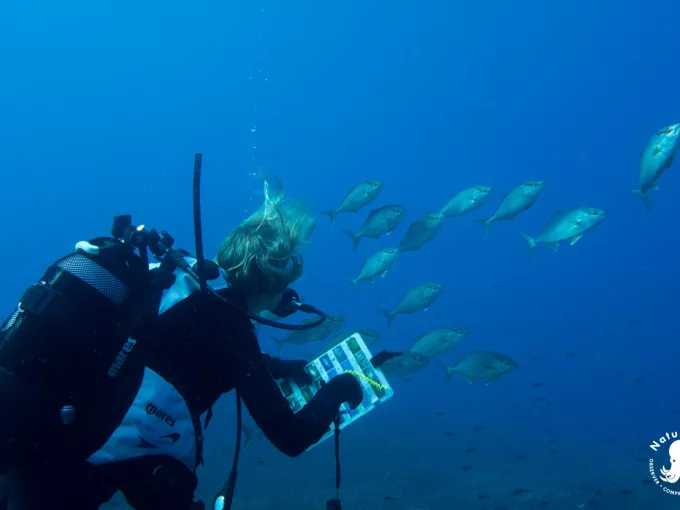 Association NaturDive