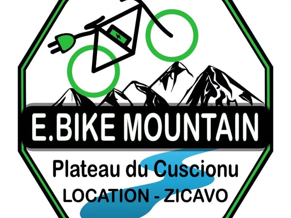 DEFI.EBIKEMOUNTAIN .logo