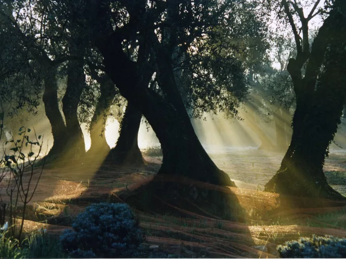 Le Domaine de Peyrebelle, DefisMed