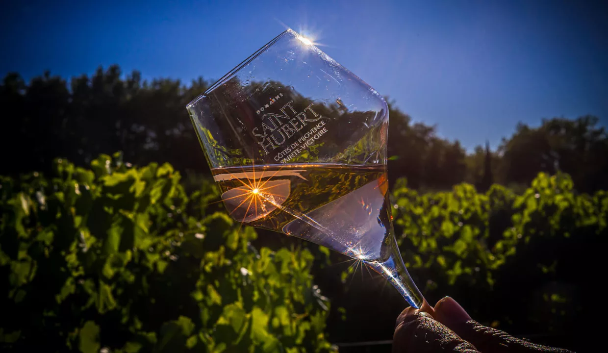 Domaine de St Hubert - verre et vignes