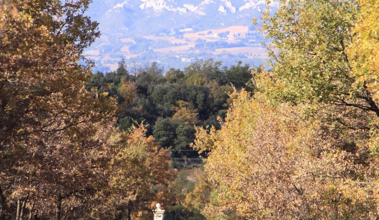 Domaine de St Hubert - vue montagne