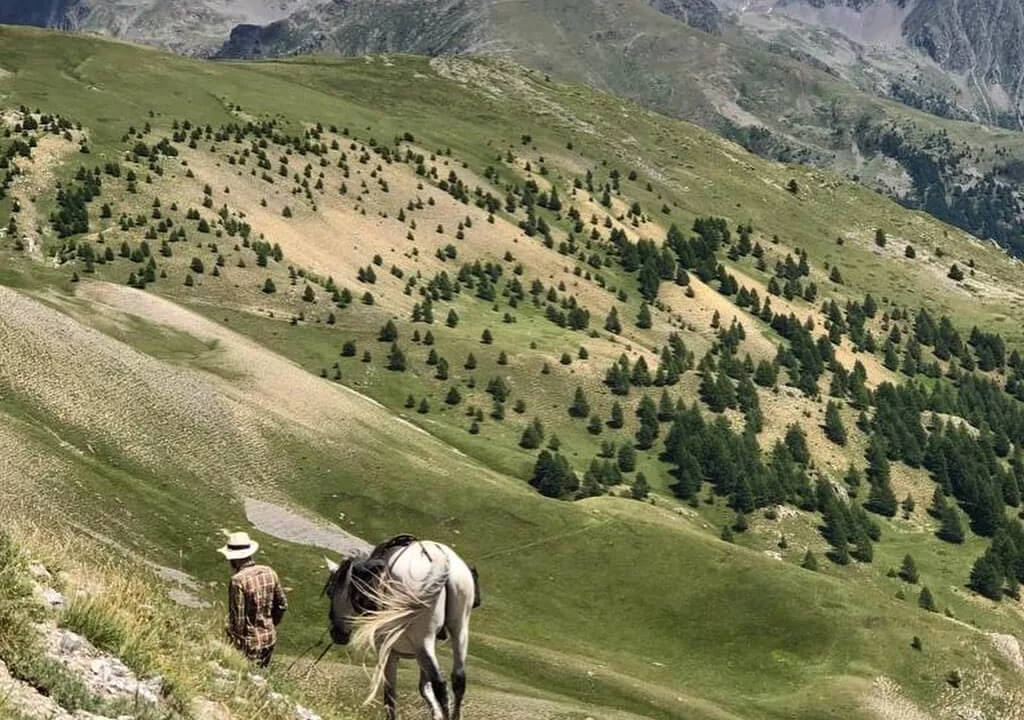 Randonnées et balade a cheval dans le Mercantour et sur la cote d'Azur