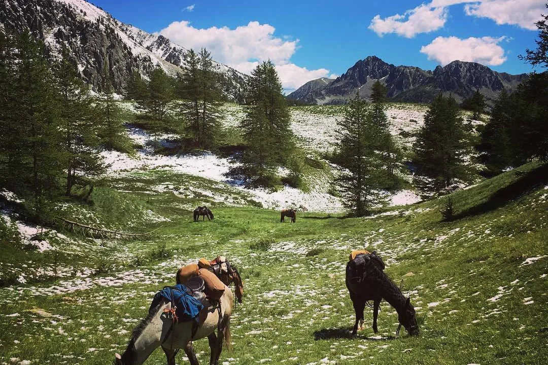 Randonnées et balade a cheval dans le Mercantour et sur la cote d'Azur