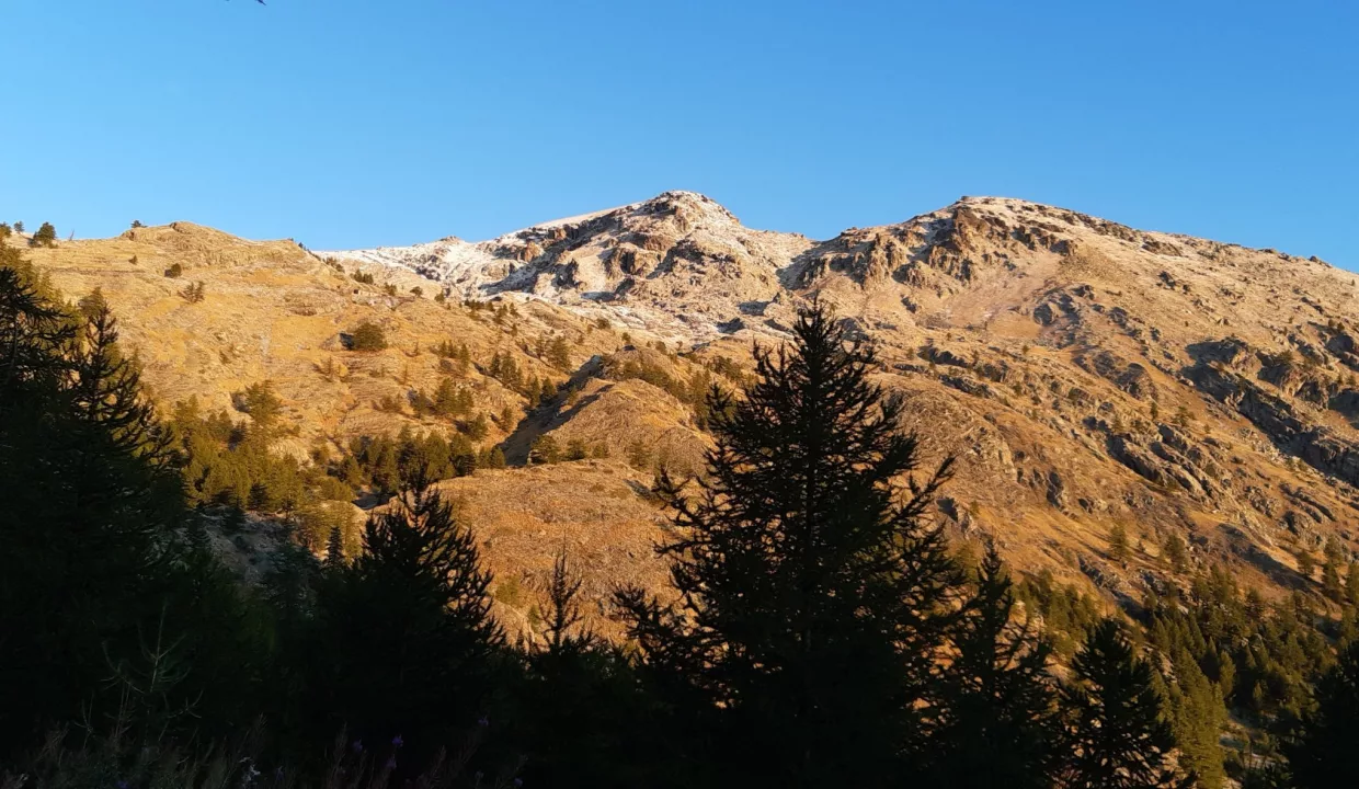 Refuge de Fontanalbe, Defismed