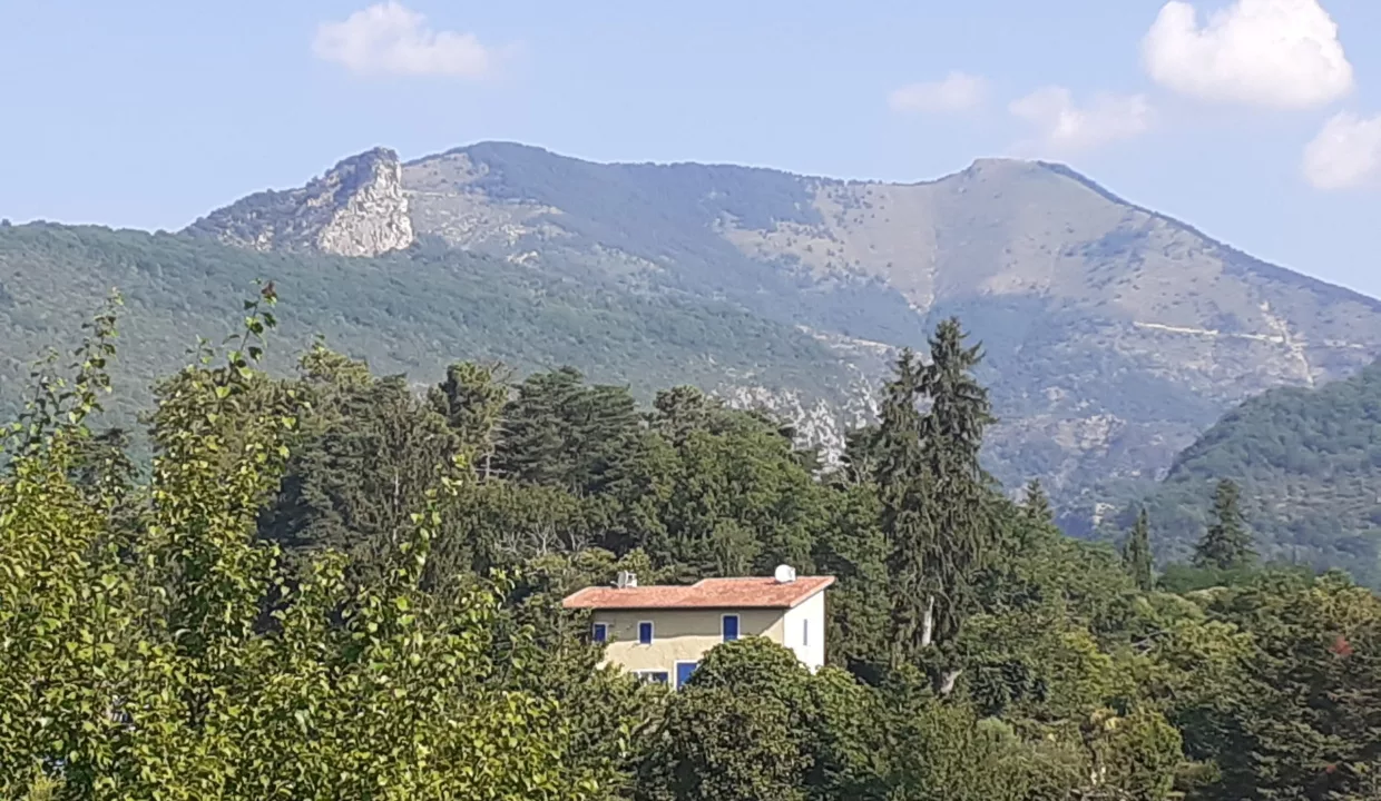 Brin de paille, Defismed