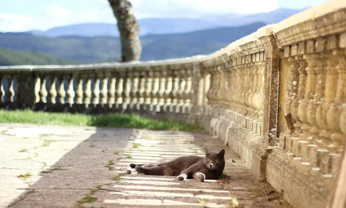 La Villa du Collet, Defismed