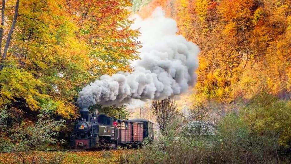 Mocăniţa Steam Train