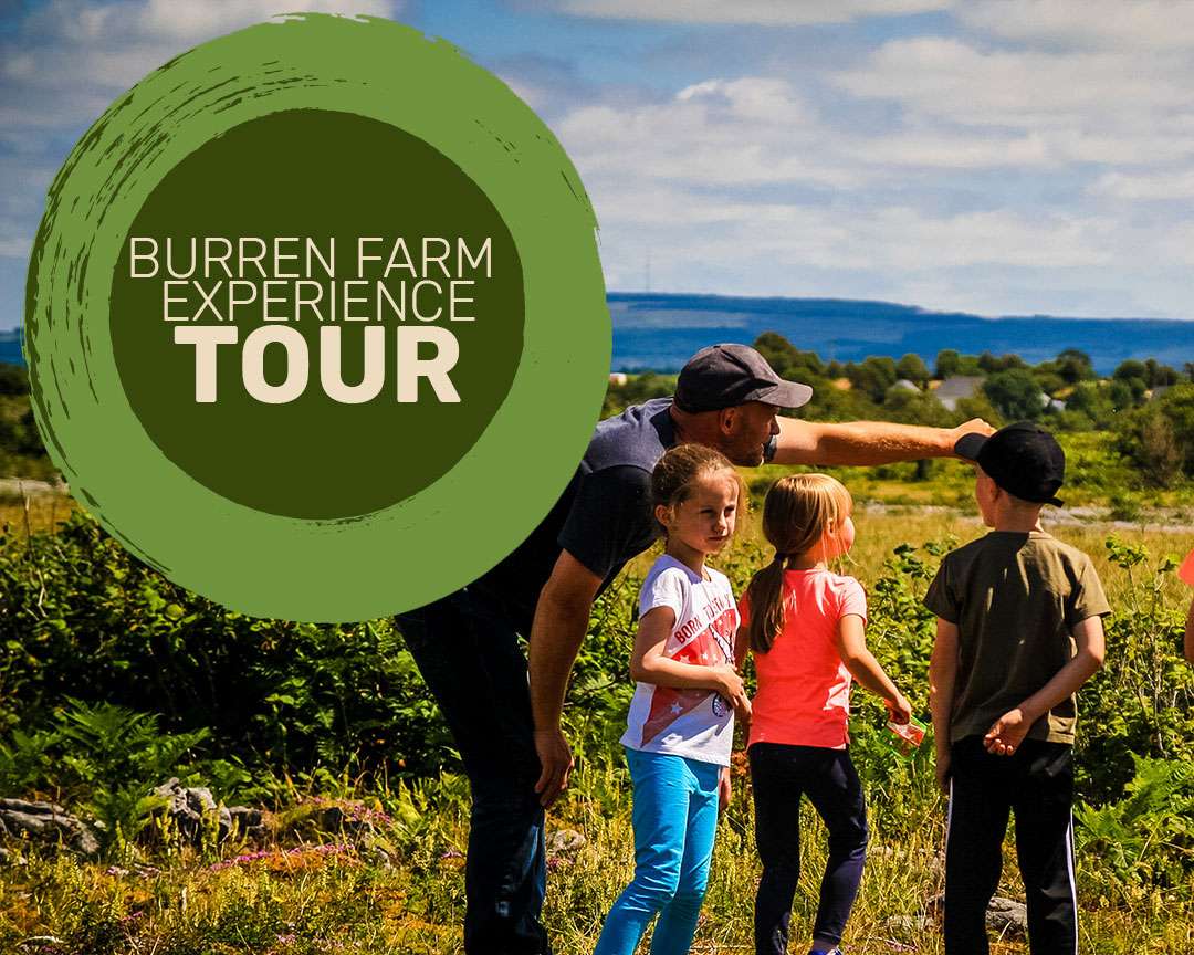 Burren Farm Experience