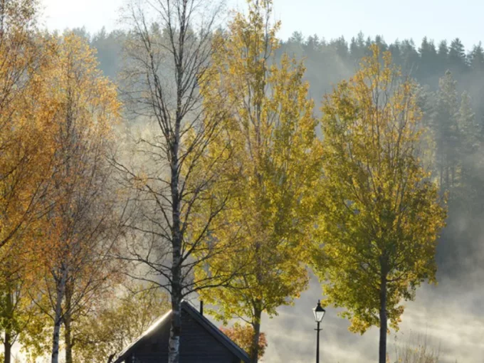Dalagård