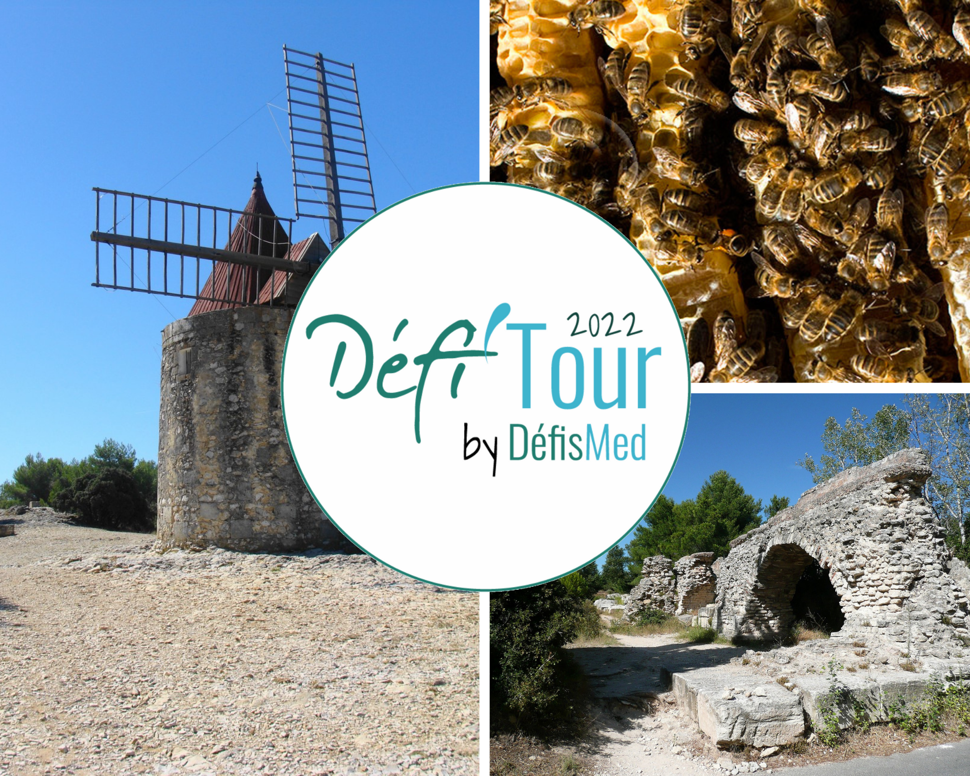 Du 19 au 21/08/2022 – Défi’Tour – Des abeilles et des hommes